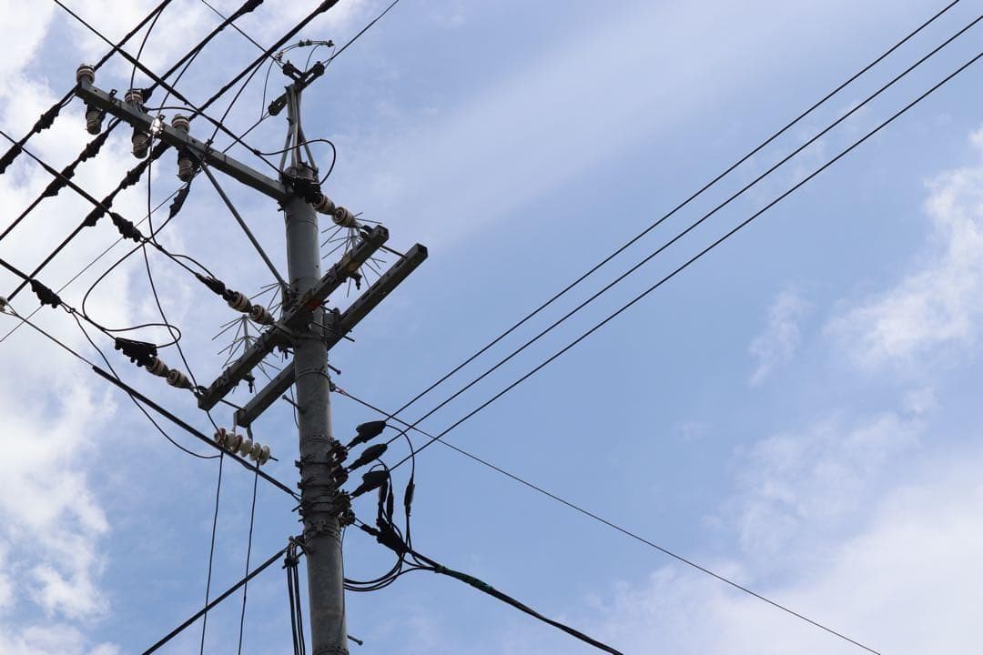 キャノン EF-S 55-250mm IS II★スポーツ撮影にも◎軽量ズーム！