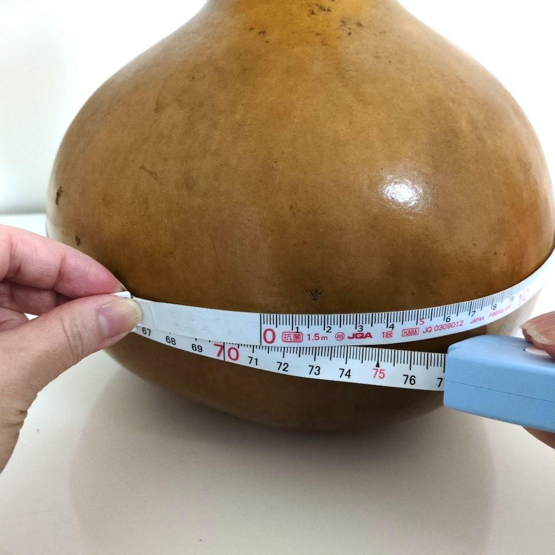 イプヘケオレ　フラ楽器　イプ　フラダンス