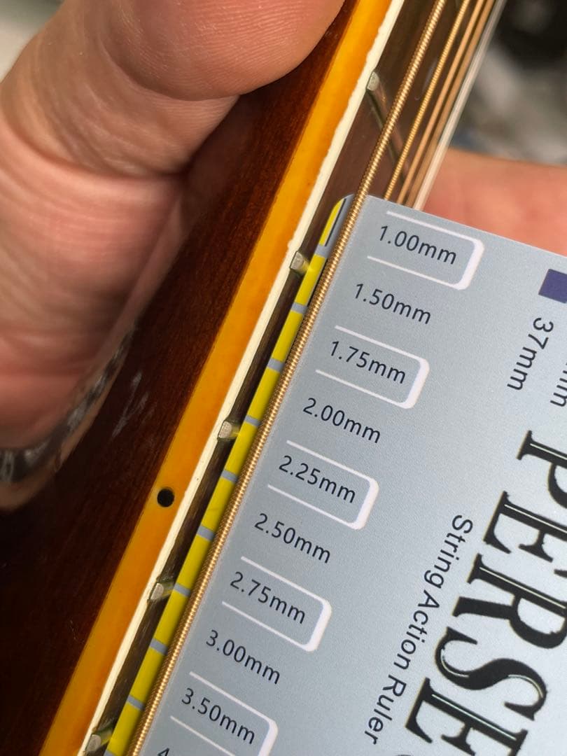 Aria W-30 アコースティックギター