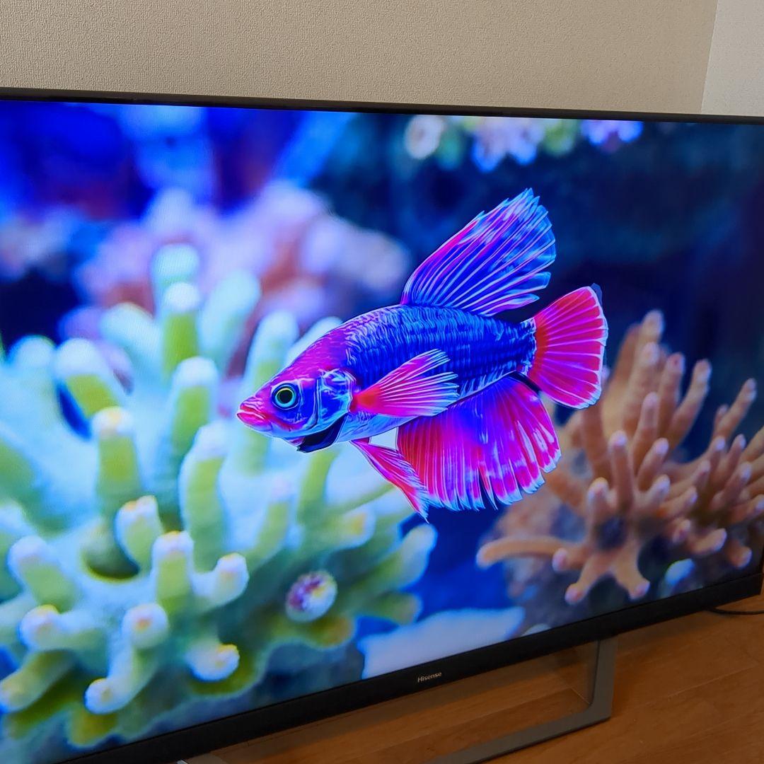 ハイセンス 4Kテレビ 55u85f