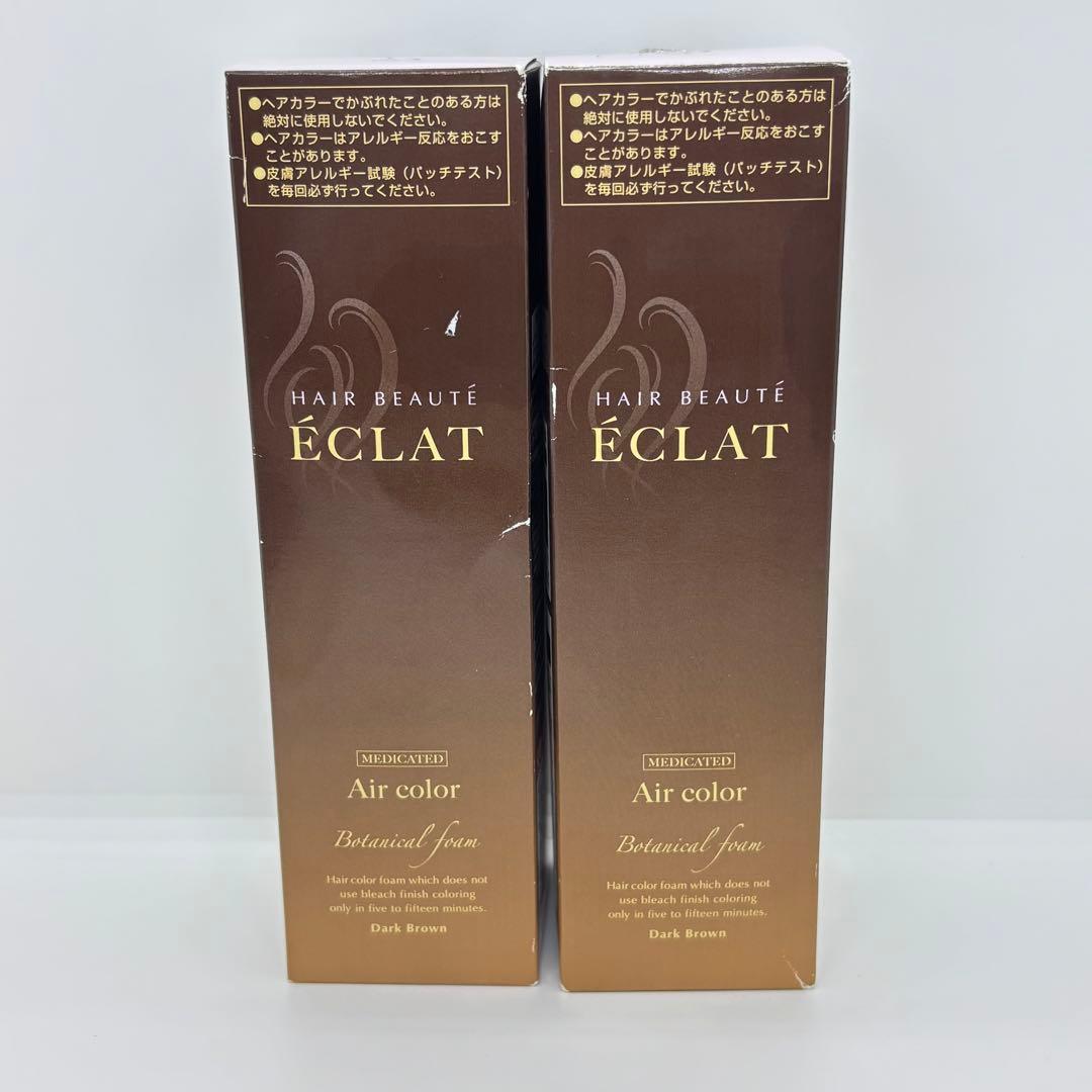 ⭐️未使用⭐️ボタニカルエアカラーフォーム ダークブラウン2点セット