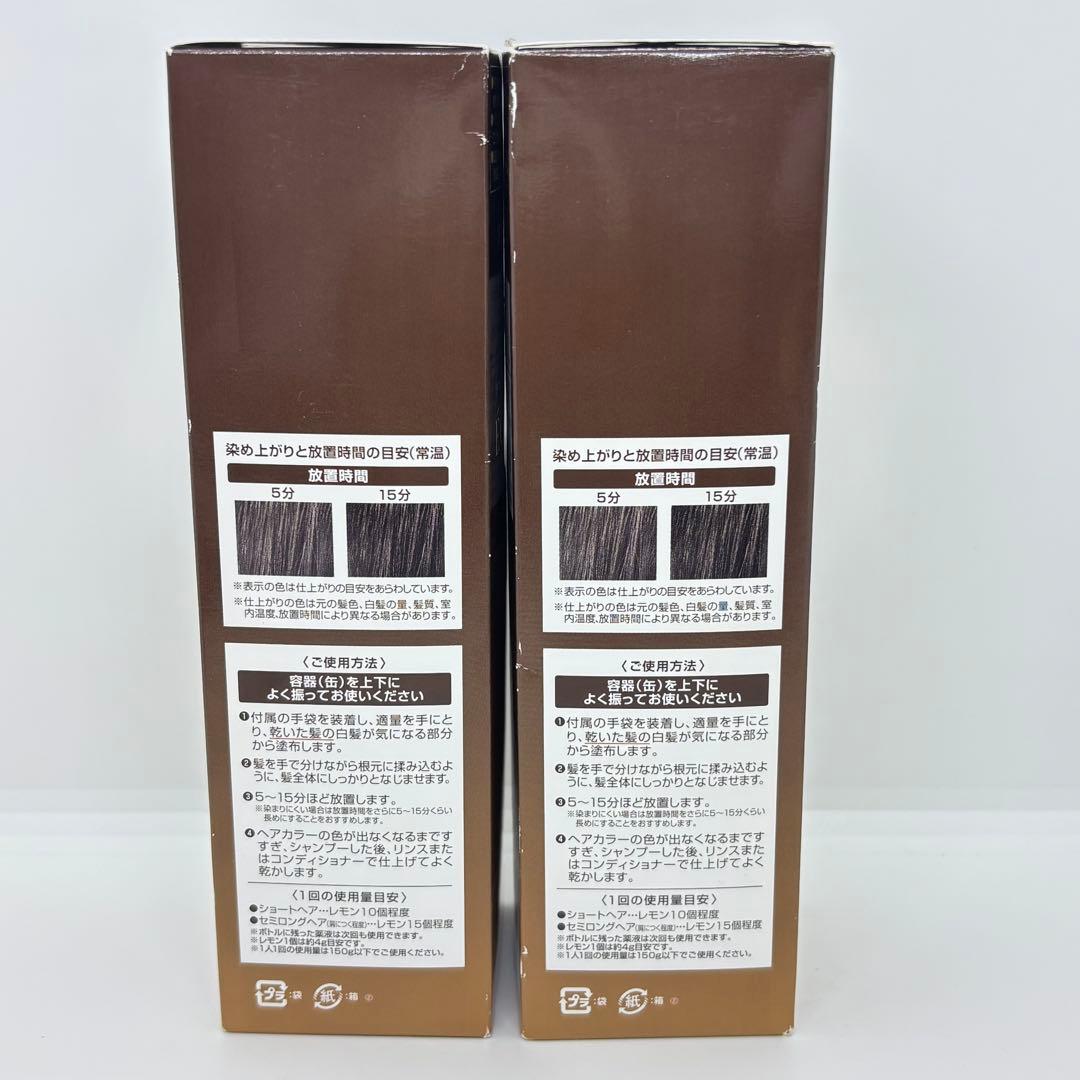 ⭐️未使用⭐️ボタニカルエアカラーフォーム ダークブラウン2点セット