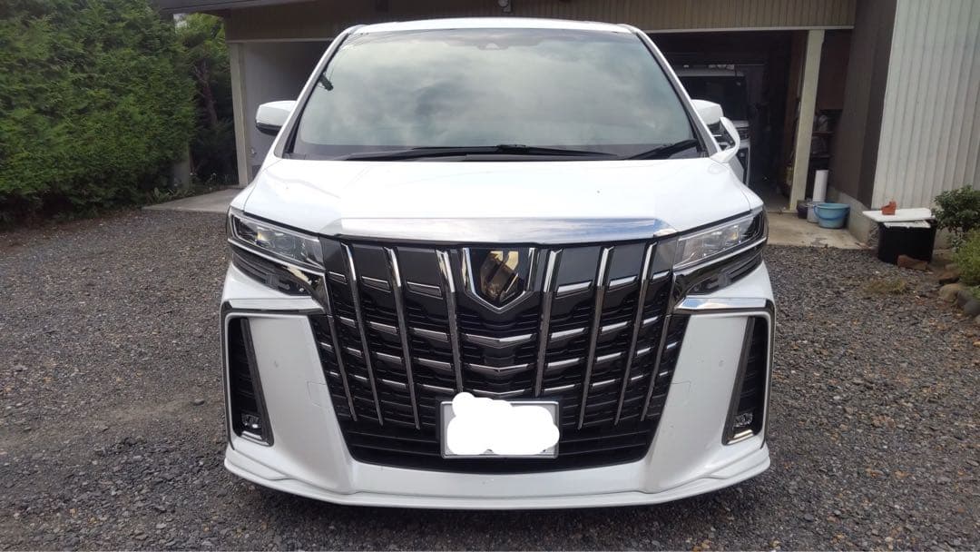 フォルテ　30後期アルファード フロントリップ