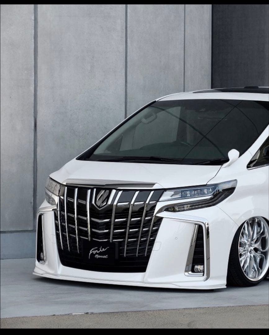 フォルテ　30後期アルファード フロントリップ