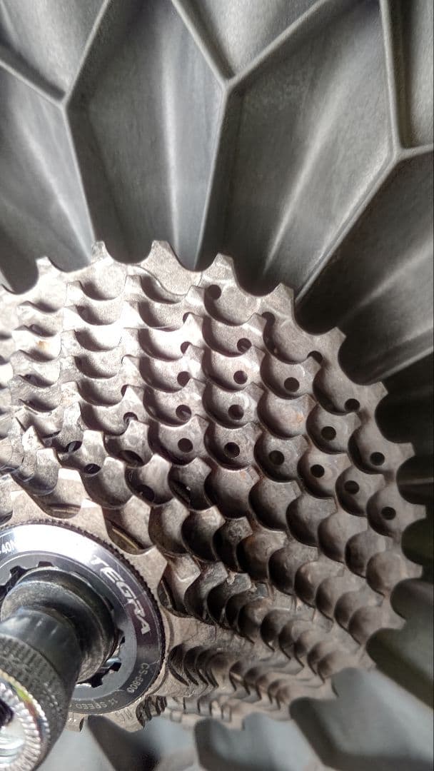 ELITE DIRETO エリートローラー台