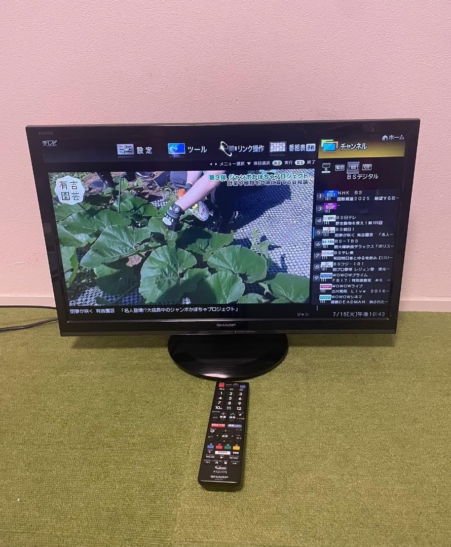 シャープ 液晶テレビ 24V型 外付HDD対応(裏番組録画) LC-24P5
