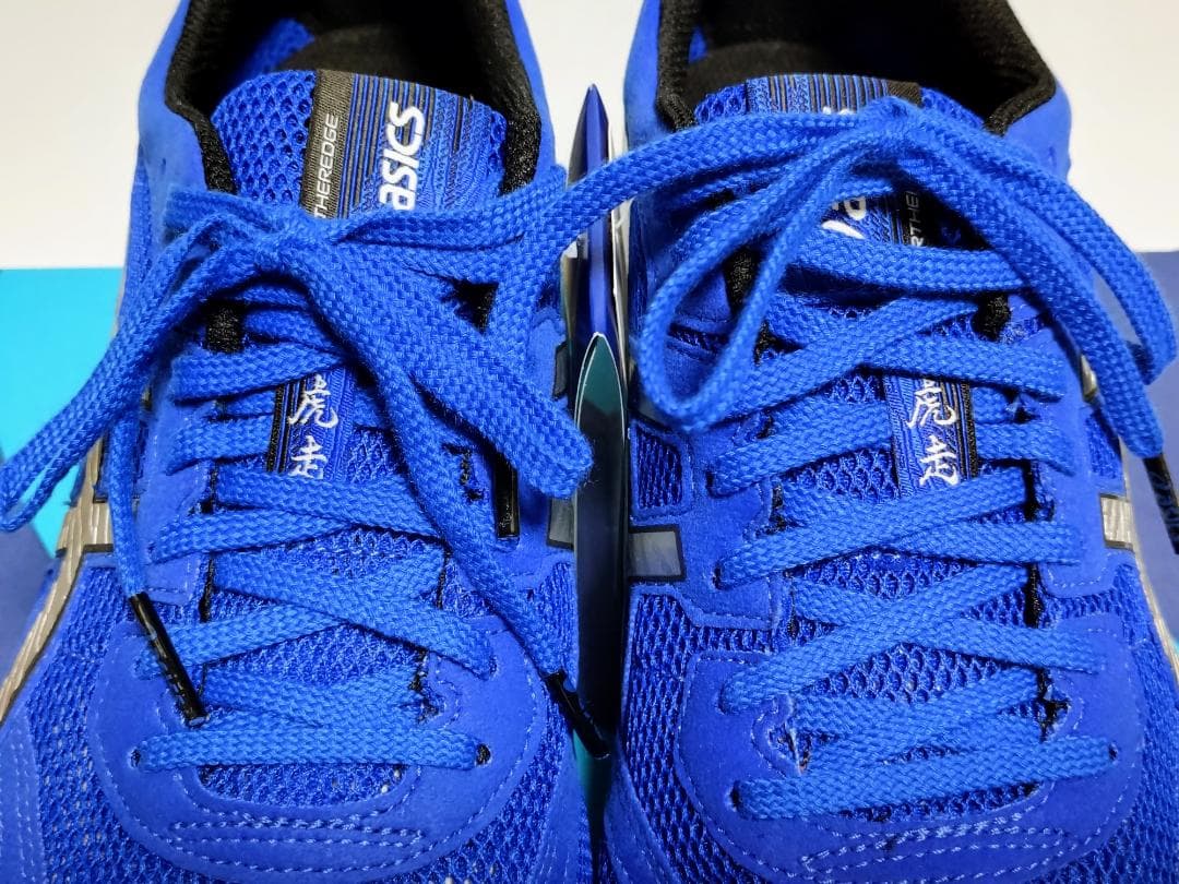 asics TARTHEREDGE WIDE　メンズ　ランニングシューズ