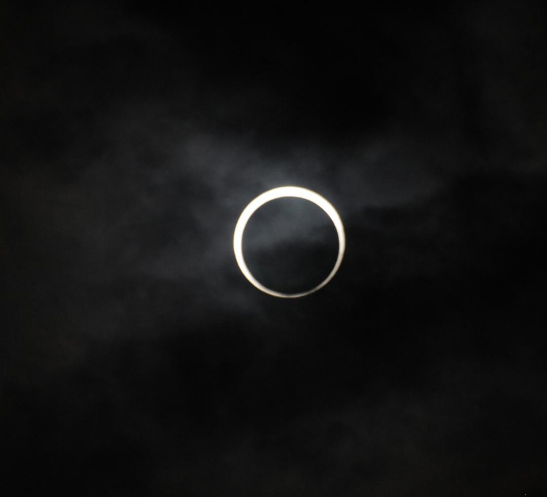 レンズ(ズーム) Nikon AF-S NIKKOR 70-300mm 4.5-5.6G VR