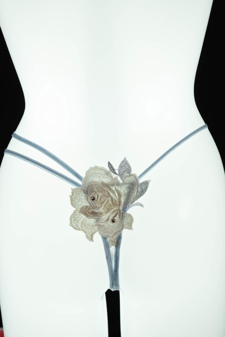 サルート24G　予約限定販売コレクション　ブラD65　TバックM　GY