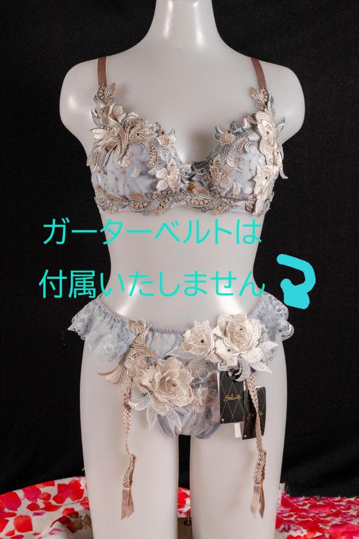 サルート24G　予約限定販売コレクション　ブラD65　TバックM　GY