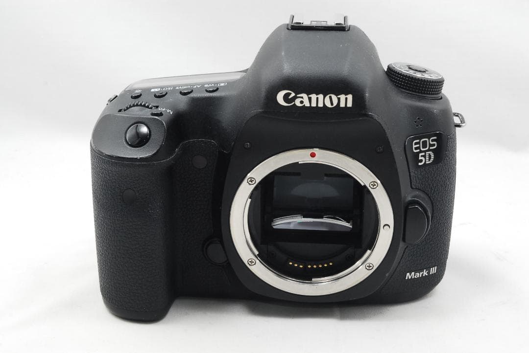 キャノン EOS 5D Mark Ⅲ &バッテリーグリップ BG-E11 385