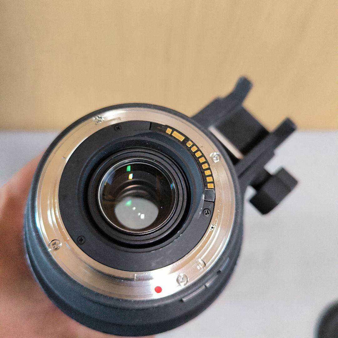 レンズ(ズーム) Sigma 50-500mm APO DG HSM