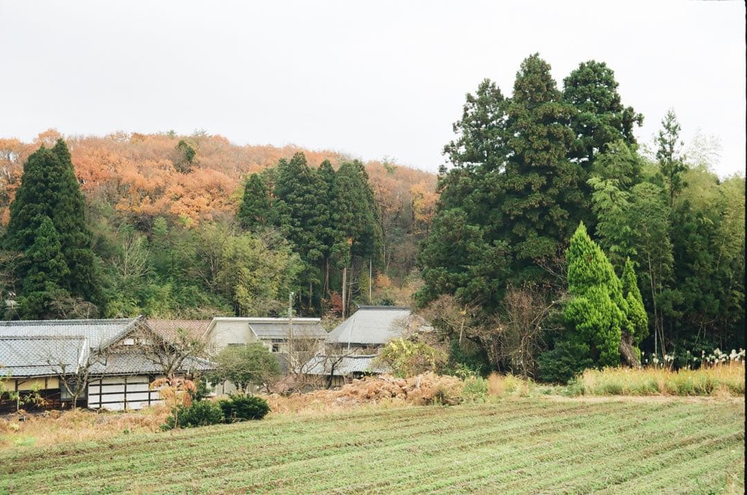 MAMIYA S2 マミヤ S 2型　実写作例あり