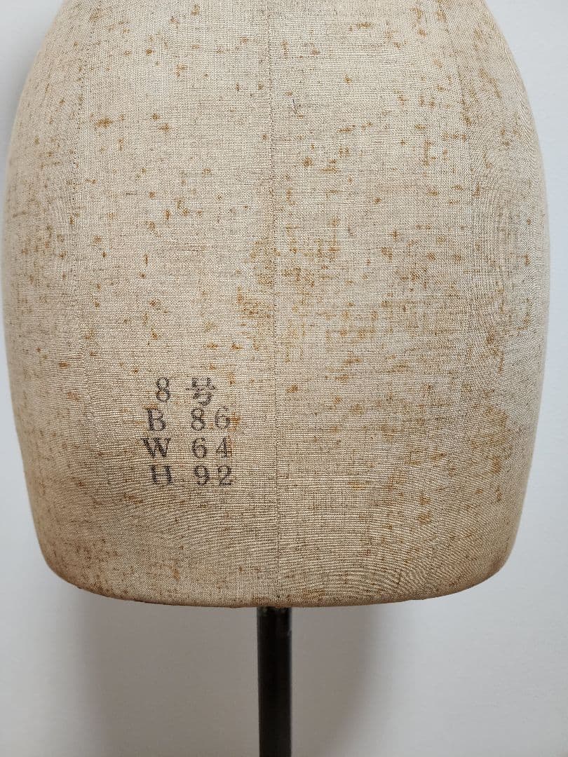 女性用トルソー B86 W64 H92