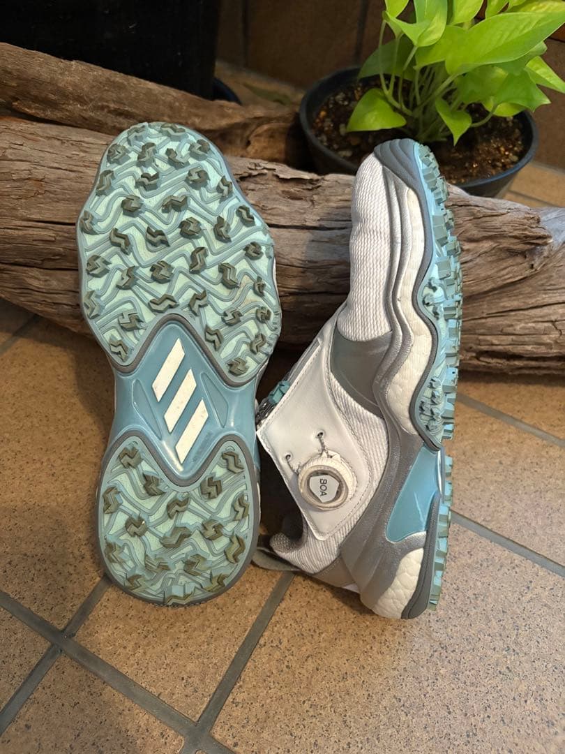 【イト】adidas ゴルフシューズ コードカオス