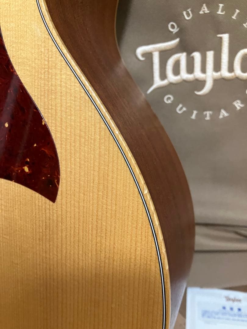 Taylor GSmini アコースティックギター　付属品多数！