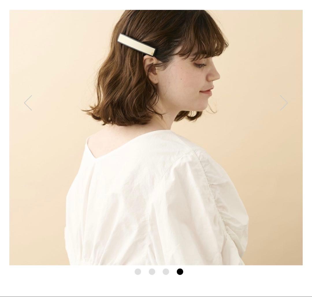 新品未使用限定品ALEXANDRE DE PARIS ヘアクリップ&バレッタ