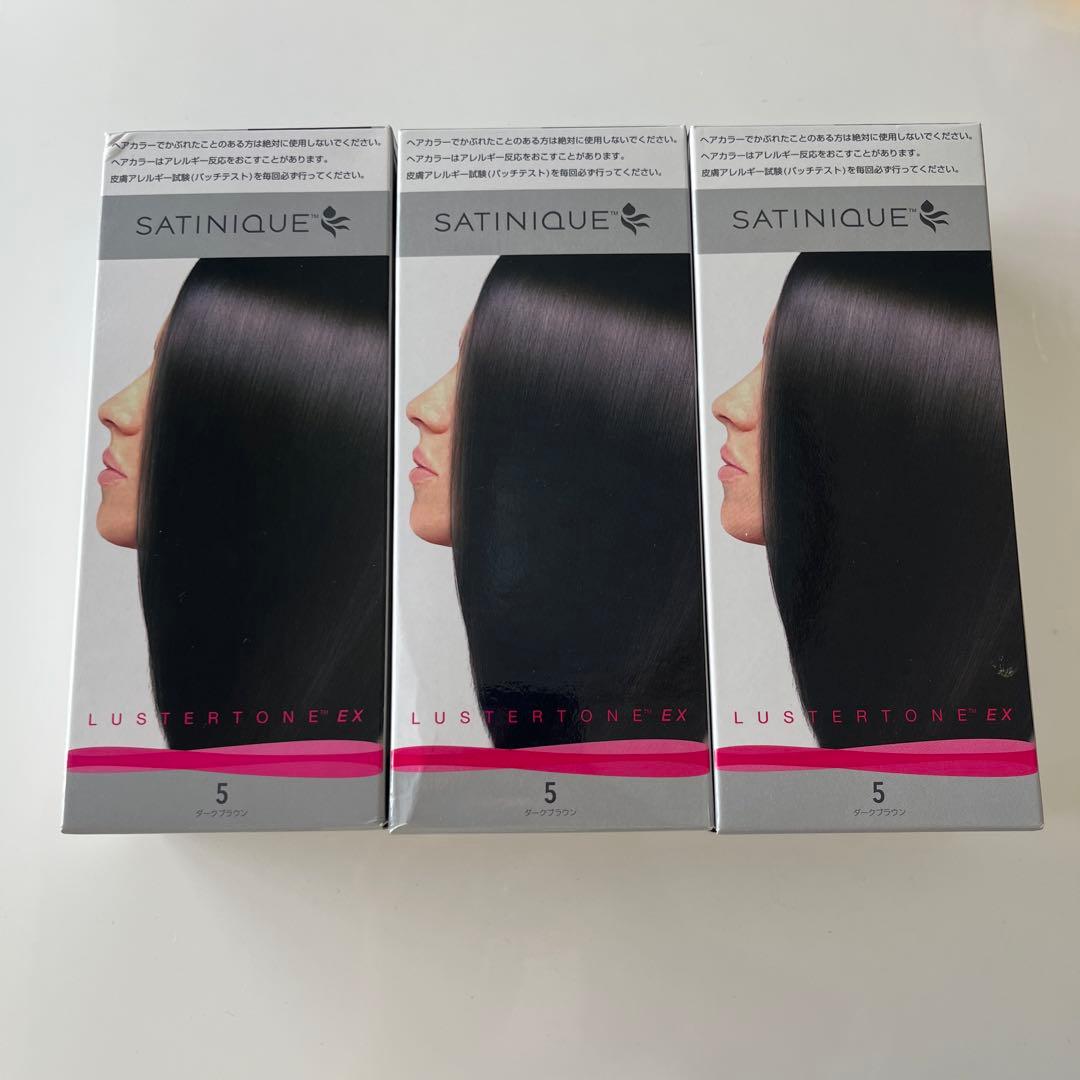 まとめ売り　Amway サテニーク ラスタートーン 5 ダークブラウン