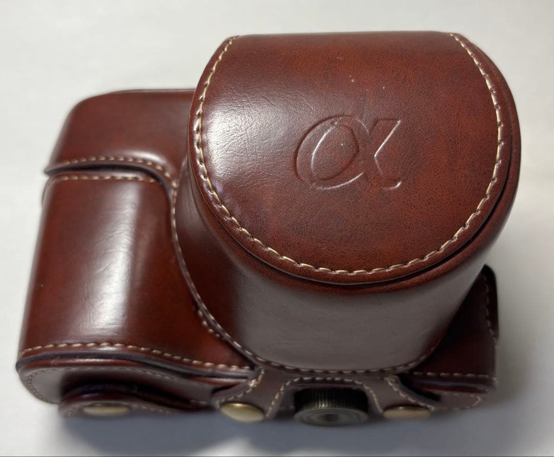 SONY α6000 標準レンズ付 美品 シャッター723回