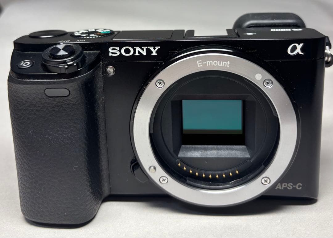 SONY α6000 標準レンズ付 美品 シャッター723回