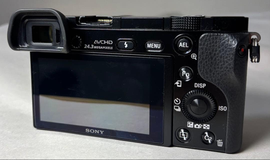 SONY α6000 標準レンズ付 美品 シャッター723回