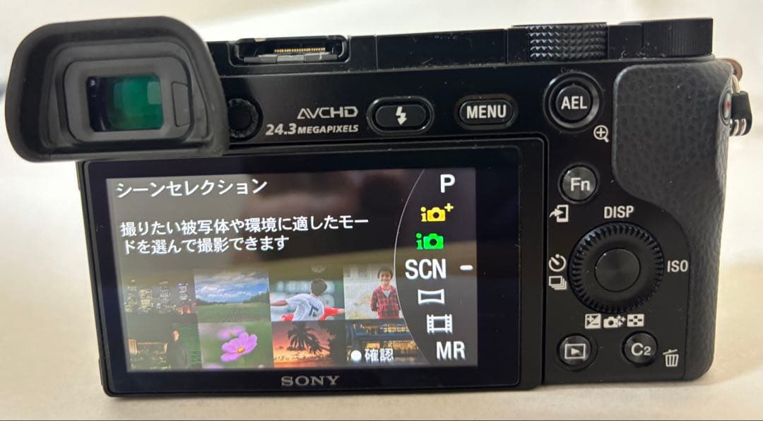 SONY α6000 標準レンズ付 美品 シャッター723回