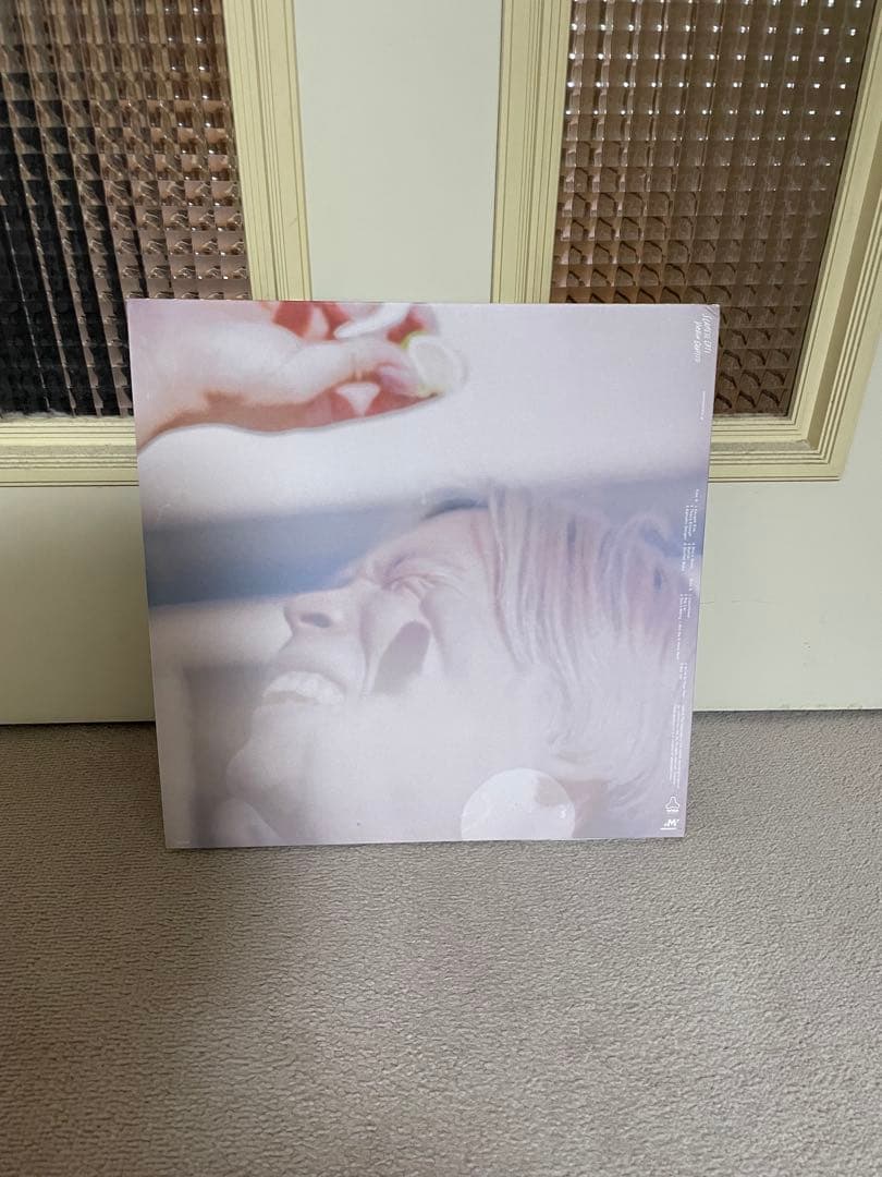 シャムキャッツ Virgin Graffiti レコード