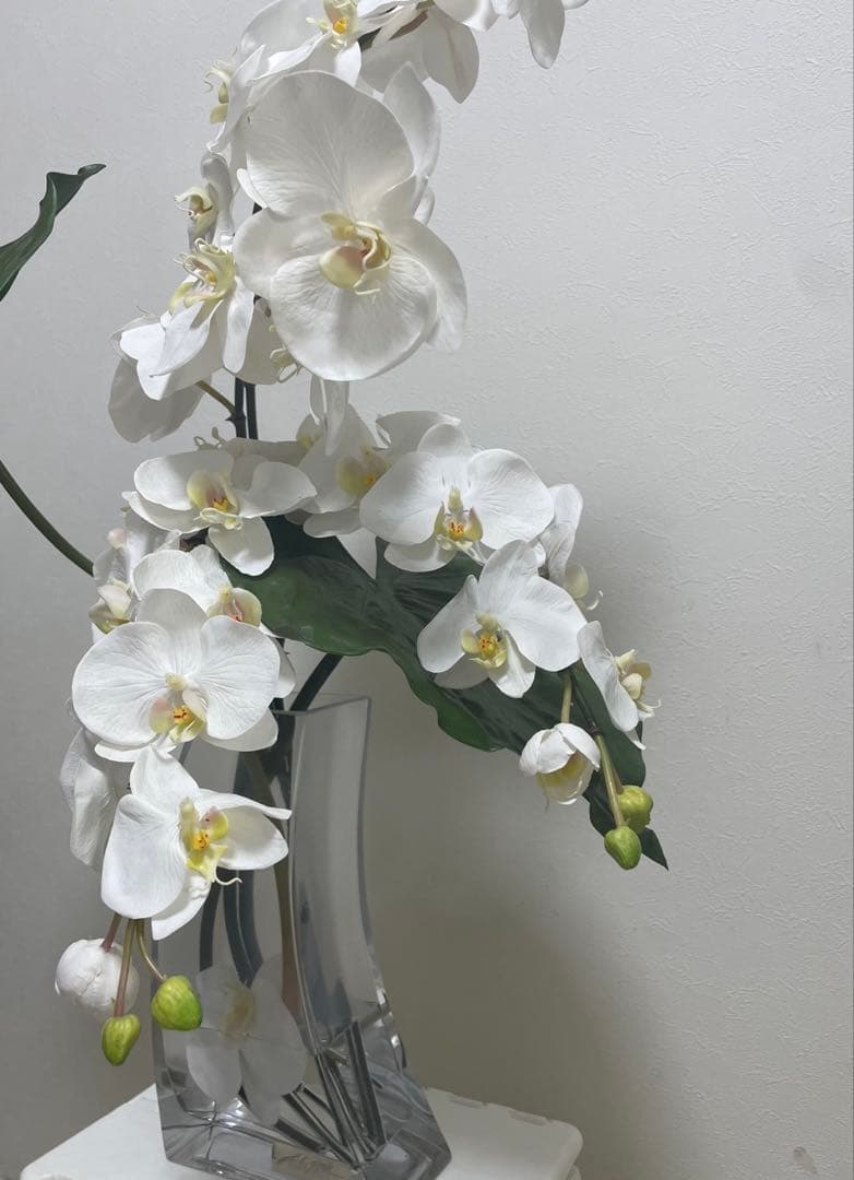 Aエミリオロバ ファレノプシス2L 胡蝶蘭 花 白フラワーアレンジメント