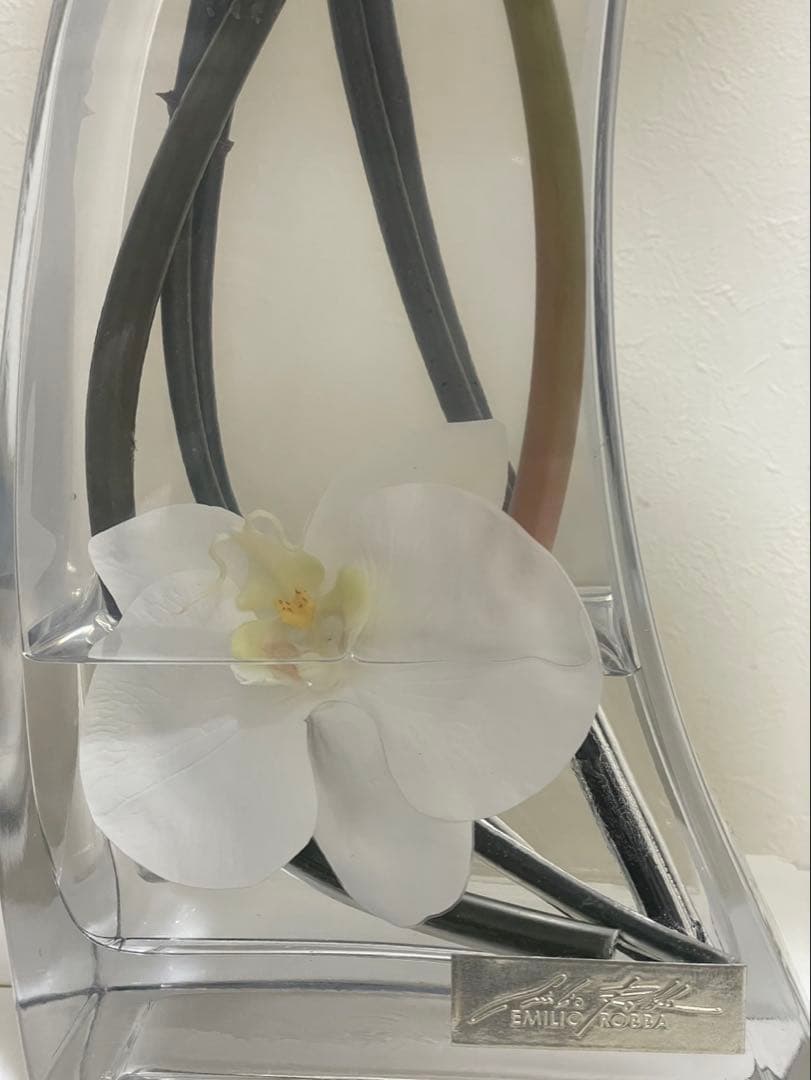 Aエミリオロバ ファレノプシス2L 胡蝶蘭 花 白フラワーアレンジメント