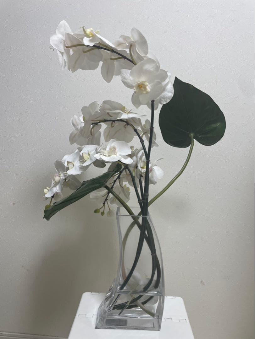 Aエミリオロバ ファレノプシス2L 胡蝶蘭 花 白フラワーアレンジメント