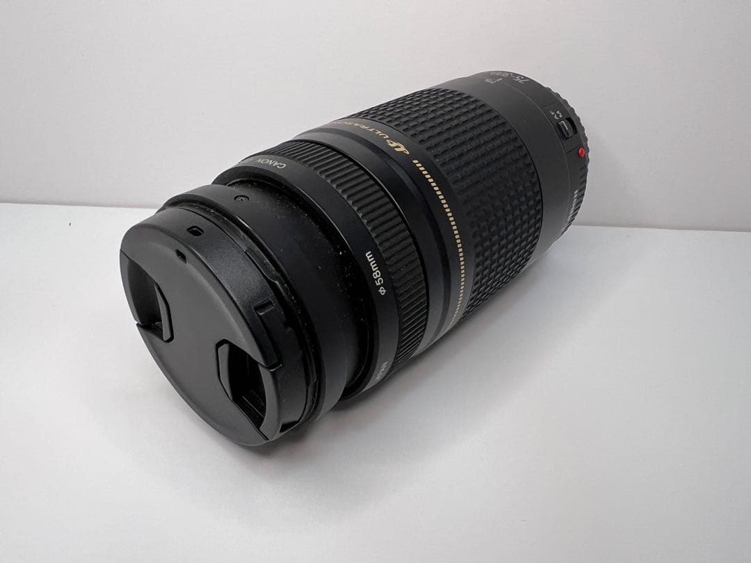 Canon キヤノン ズームレンズ EF 75-300mm F4-5.6 Ⅱ