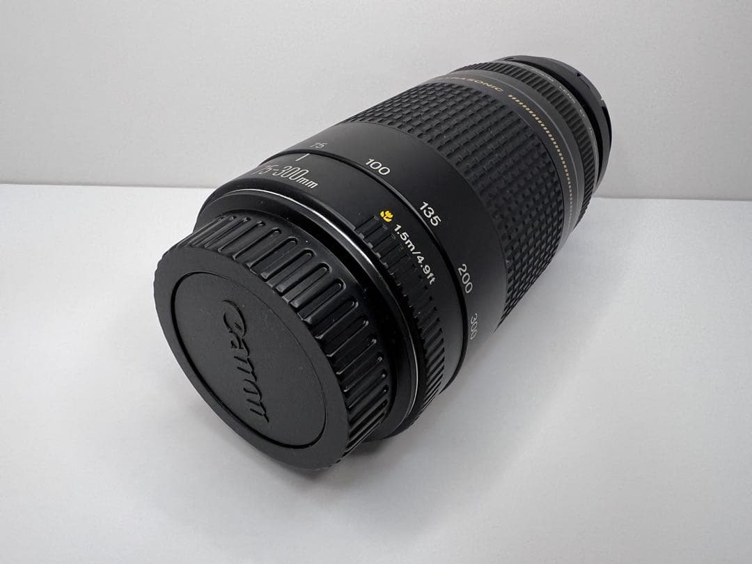 Canon キヤノン ズームレンズ EF 75-300mm F4-5.6 Ⅱ