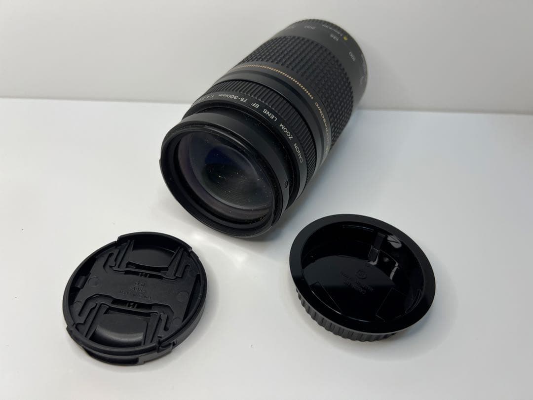 Canon キヤノン ズームレンズ EF 75-300mm F4-5.6 Ⅱ