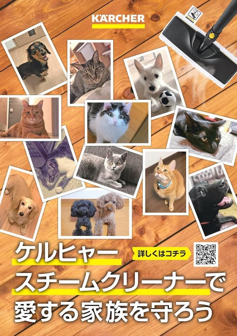 ケルヒャースチームモップSCUpright1.513349.0スチームクリーナー