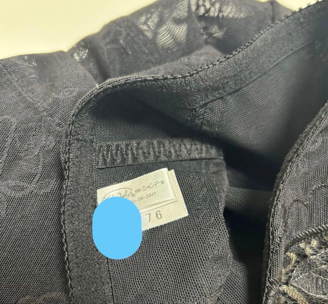 小太郎のお母さん専用・シャンデールブラE75・ガードル76