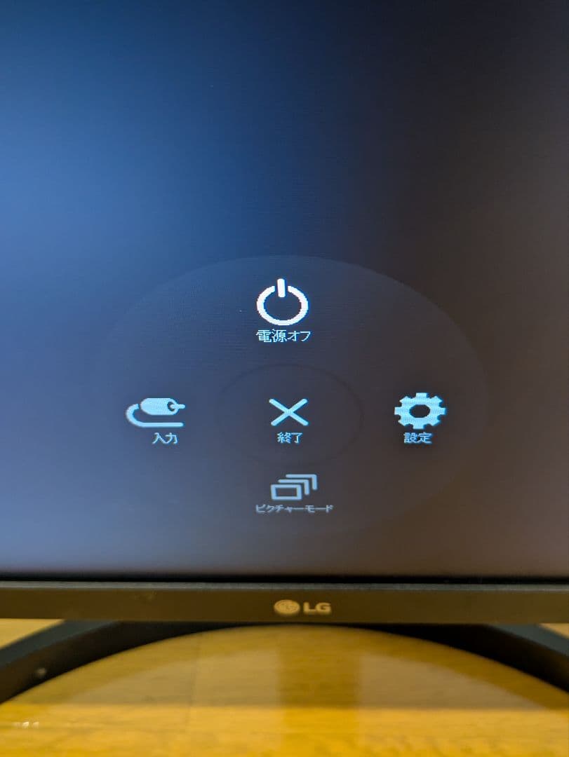 LG 29WL500-B 29インチモニター