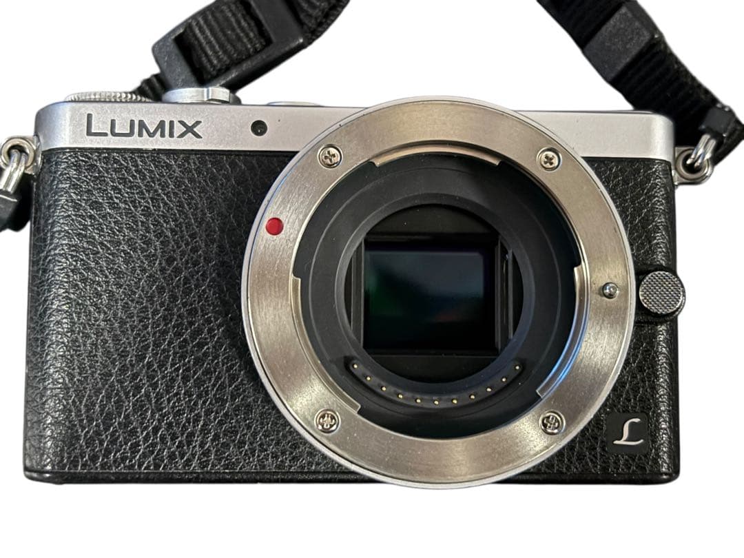 Panasonic LUMIX DMC-GM1K レンズキット シルバー(O)