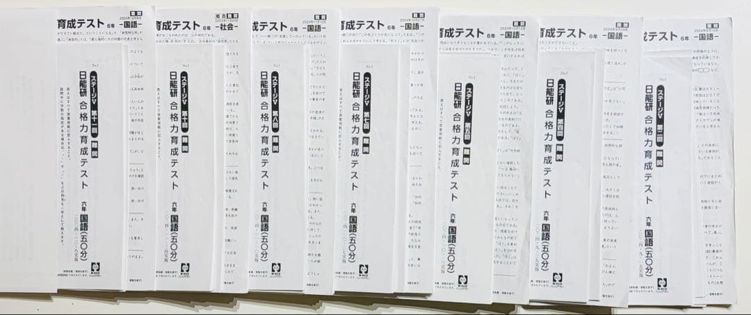日能研合格力育成テスト6後期フルセット2024年4教科 難関