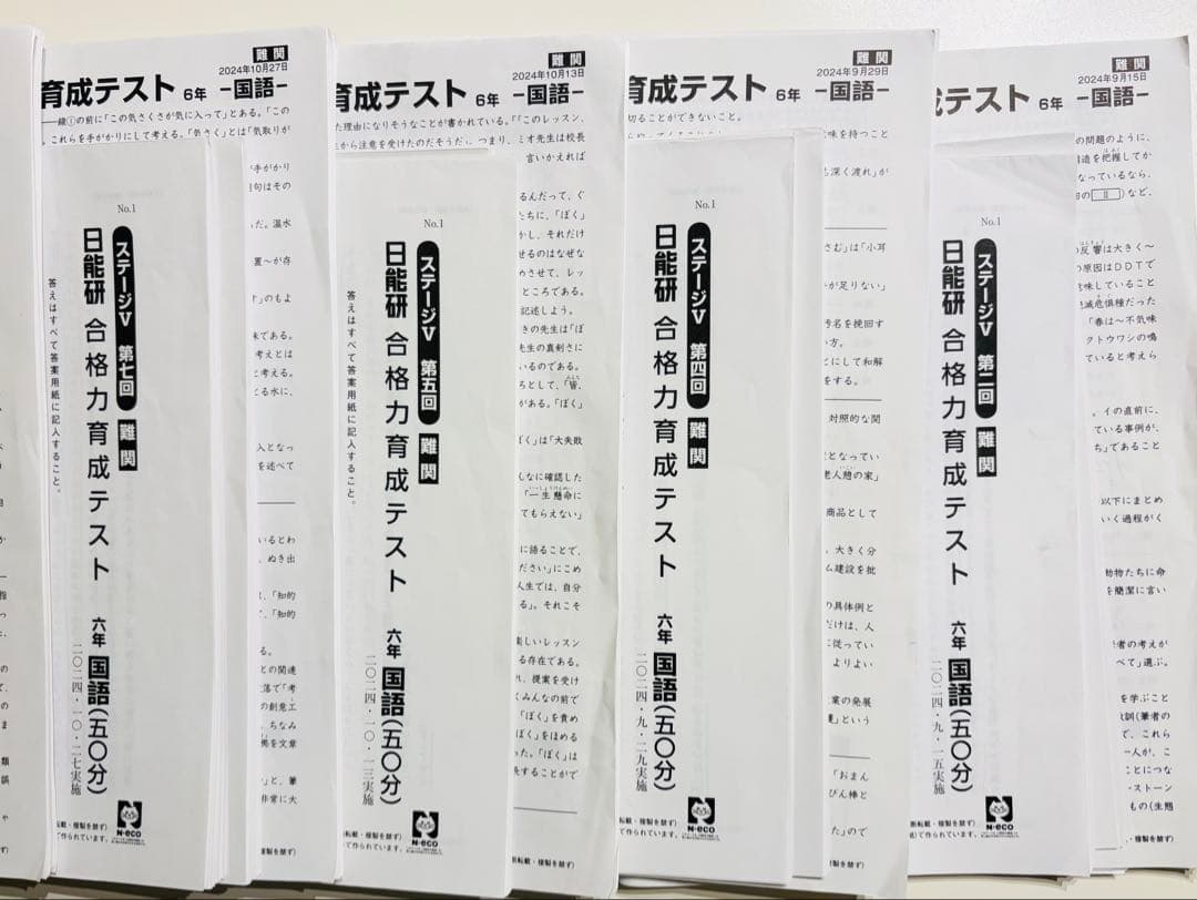 日能研合格力育成テスト6後期フルセット2024年4教科 難関