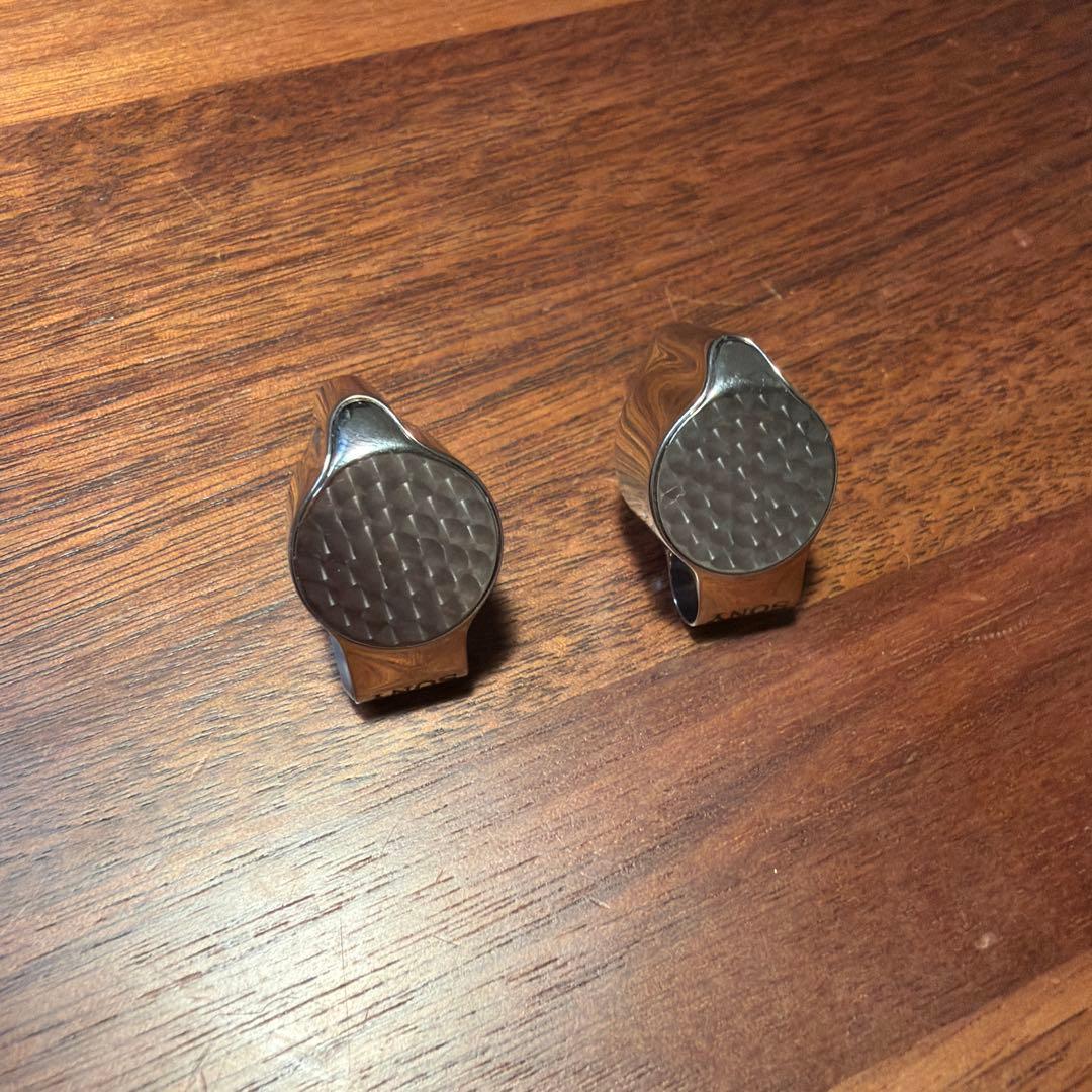 ソニー　Sony IER-Z1R