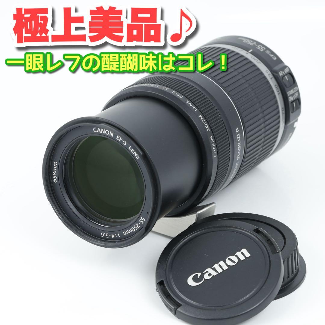 134★EF-S 55-250mm★CANONキヤノン★手ぶれ補正付き