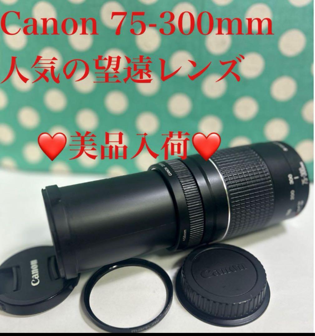 ❤️美品入荷❤️Canon 75-300mm Canon 望遠レンズ