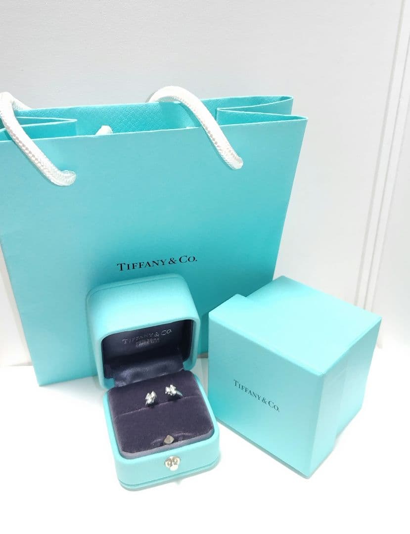 TIFFANY ティファニー Pt950 アリア 2P リング