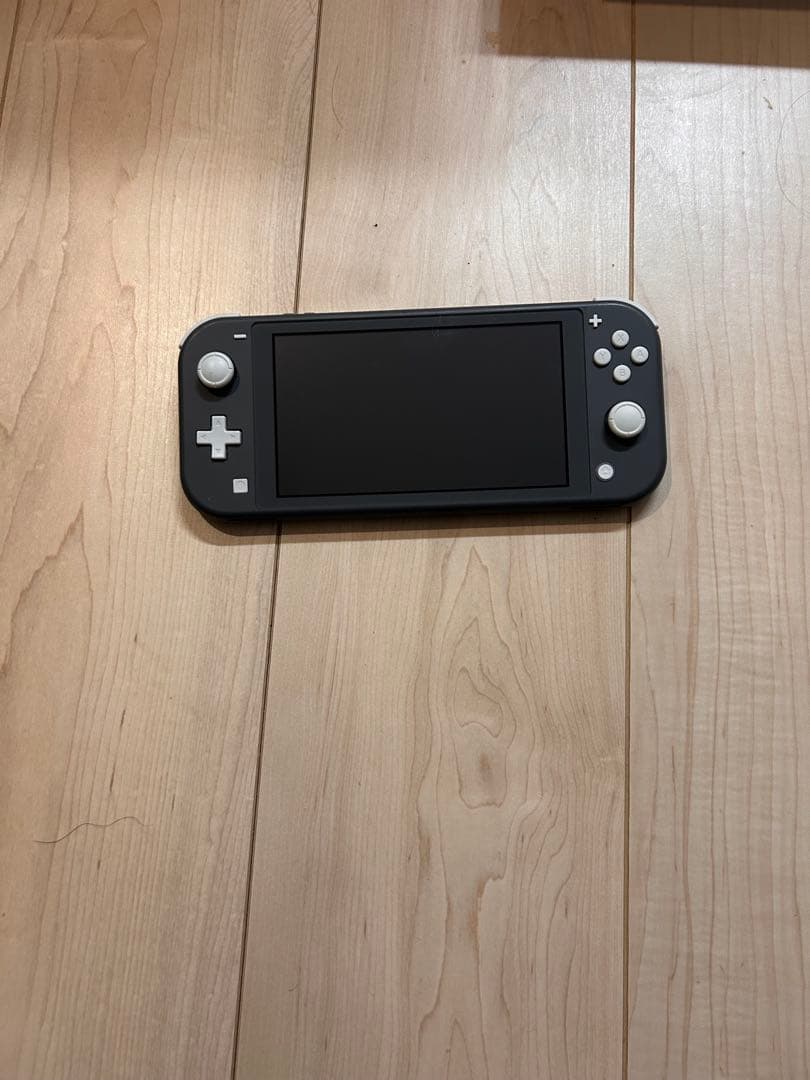 Nintendo Switch Lite グレー コントローラー付き ジャンク品