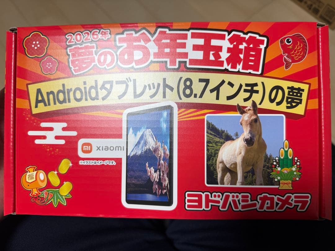 ヨドバシカメラ 夢のお年玉箱 Androidタブレット（8.7インチ）の夢