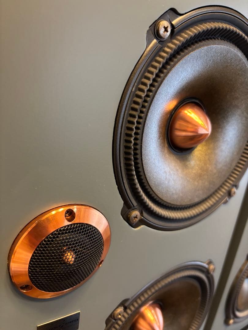 reqst pro dw-s1 モニタースピーカー