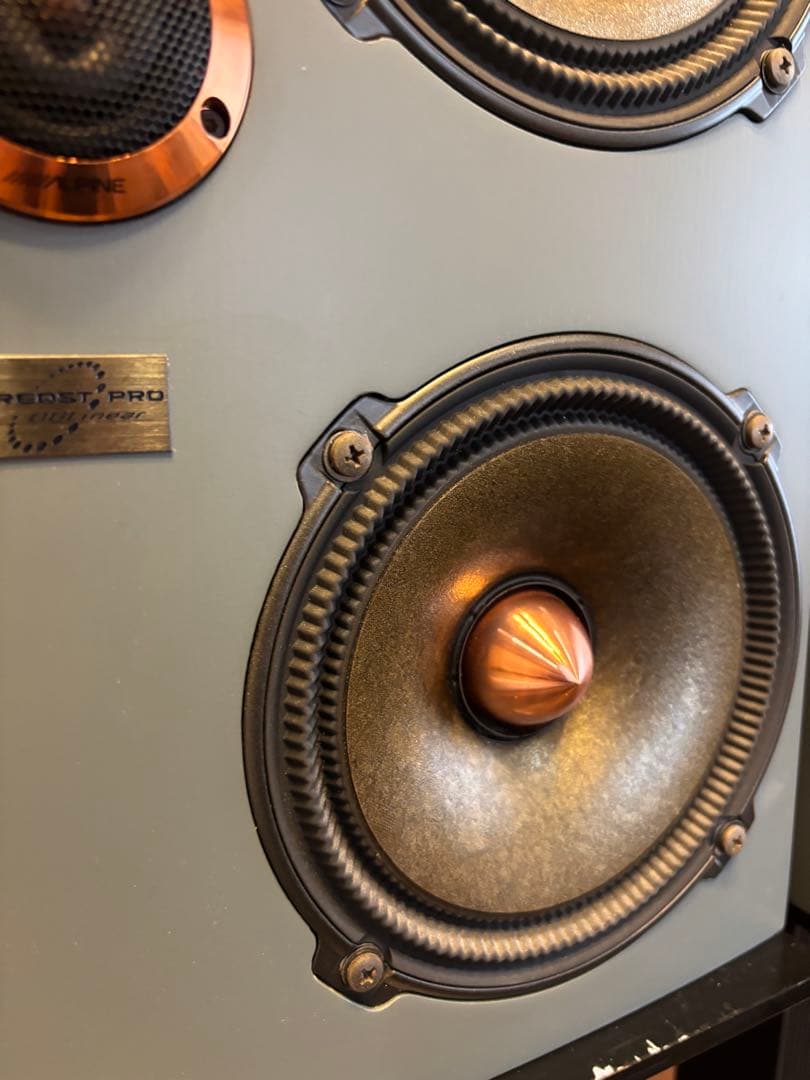 reqst pro dw-s1 モニタースピーカー