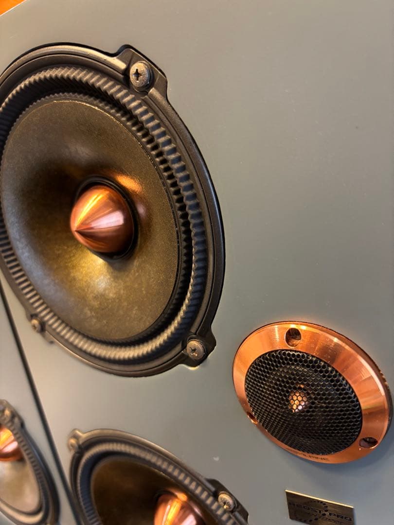 reqst pro dw-s1 モニタースピーカー