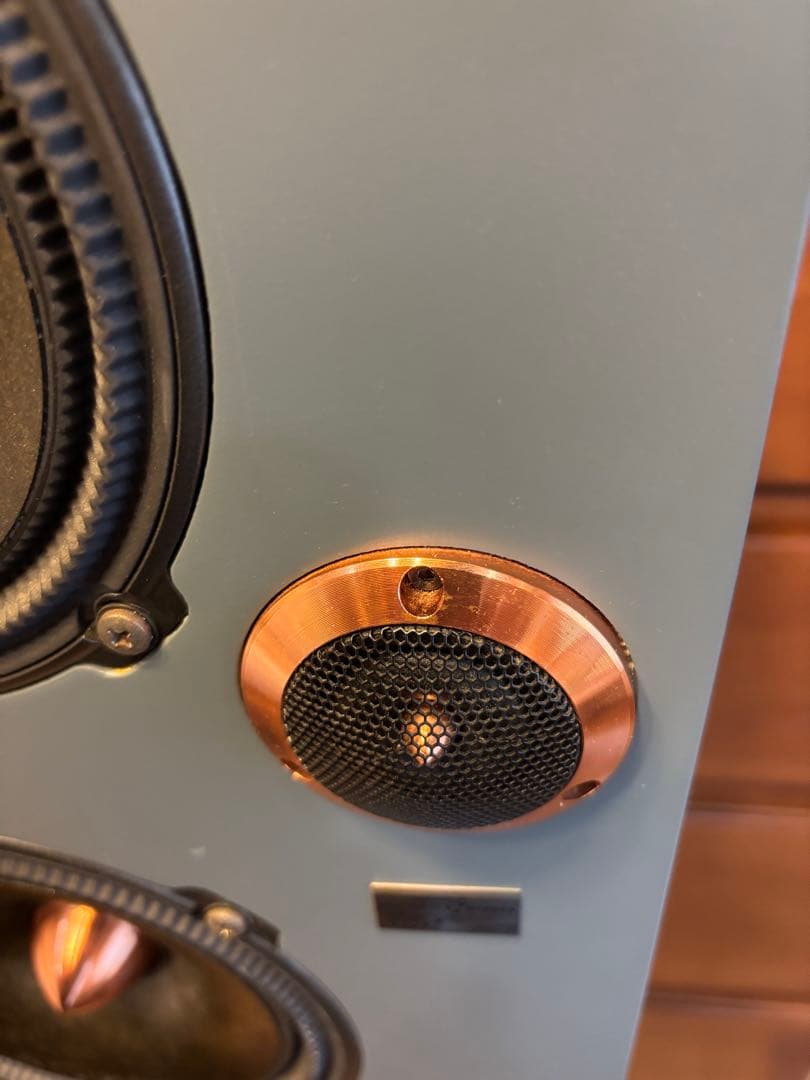 reqst pro dw-s1 モニタースピーカー