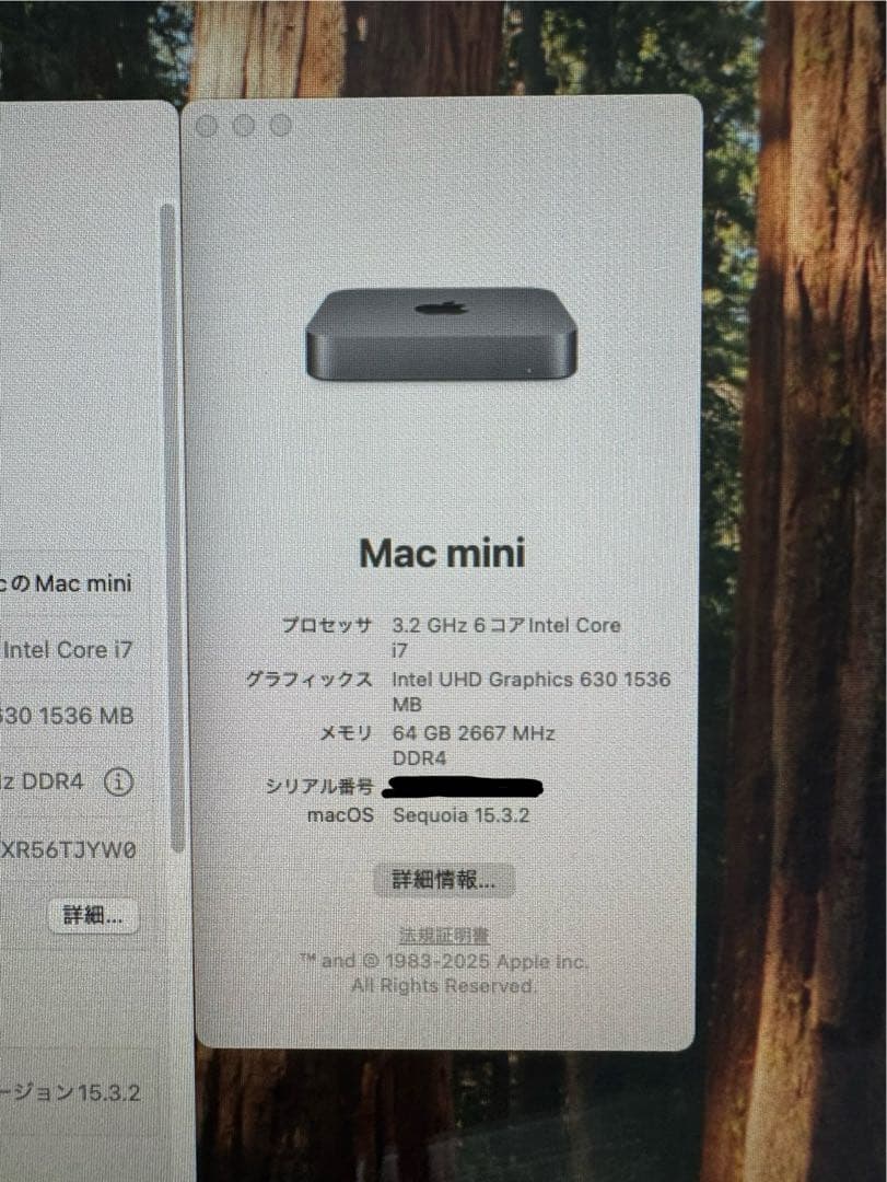 Macデスクトップ Apple Mac mini 2018 Core i7 64GB 1TB